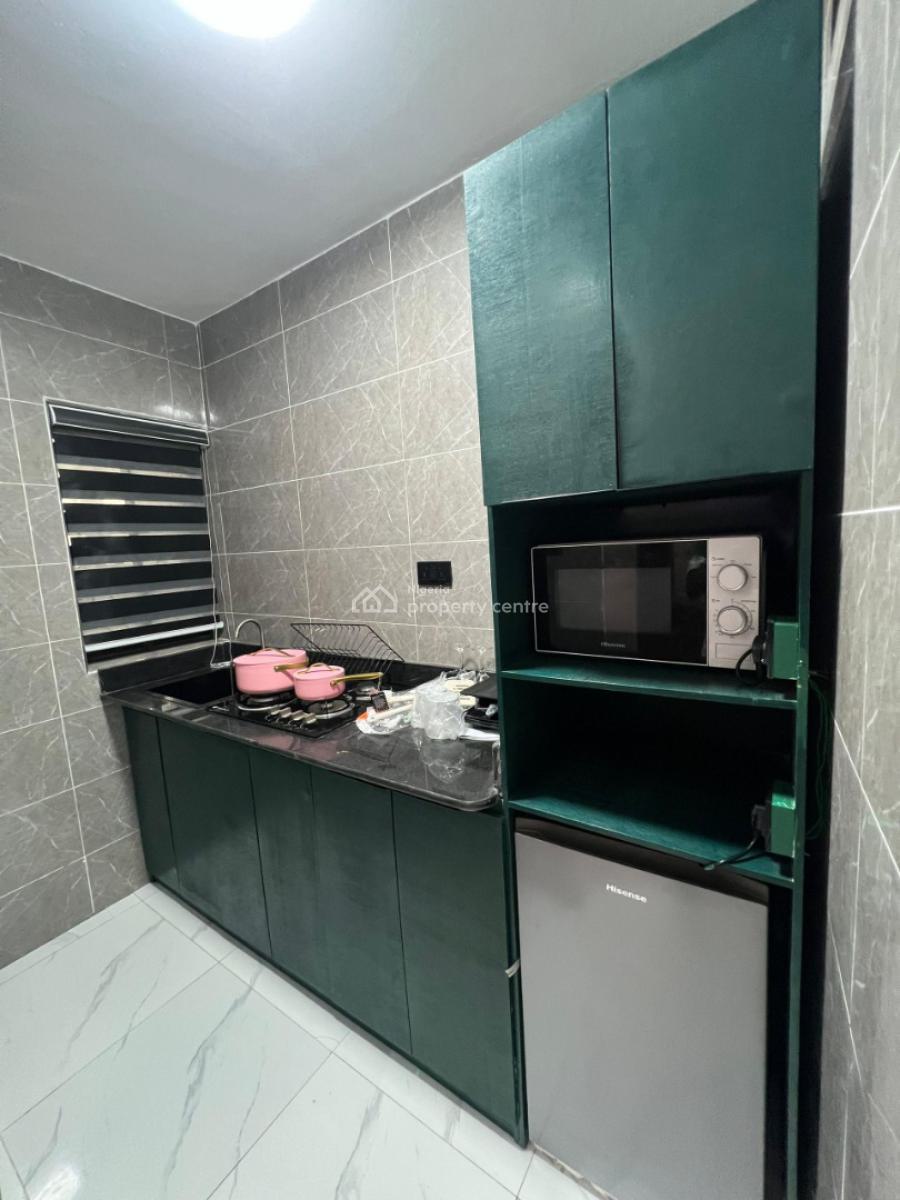 Newly Launched Luxury 1 Bedroom Apartment, Abayomi Street, Aguda, Surulere, Lagos, Mini Flat (room and Parlour) Short Let