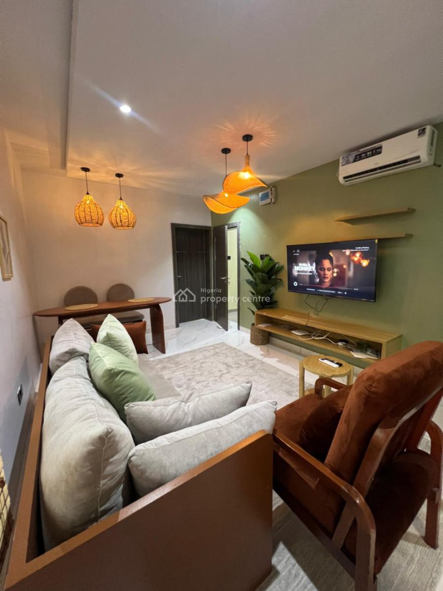 Newly Launched Luxury 1 Bedroom Apartment, Abayomi Estate, Surulere, Lagos, Flat / Apartment Short Let