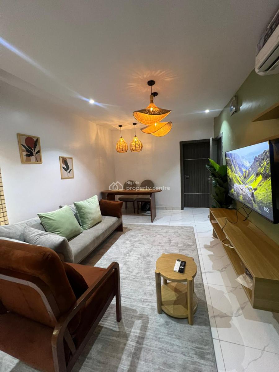 Newly Launched Luxury 1 Bedroom Apartment, Abayomi Estate, Surulere, Lagos, Flat / Apartment Short Let