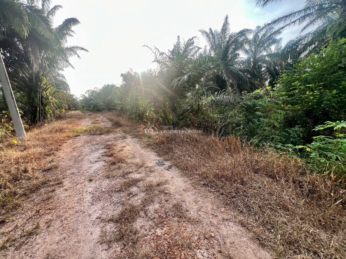 Farm Land, Ibadan, Oyo, Commercial Land for Sale