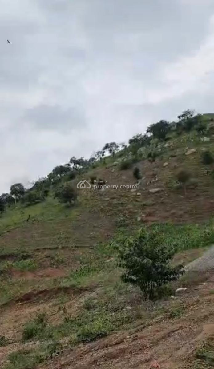 a Standard, Solid Land, Onigbongbo, Maryland, Lagos, Mixed-use Land for Sale