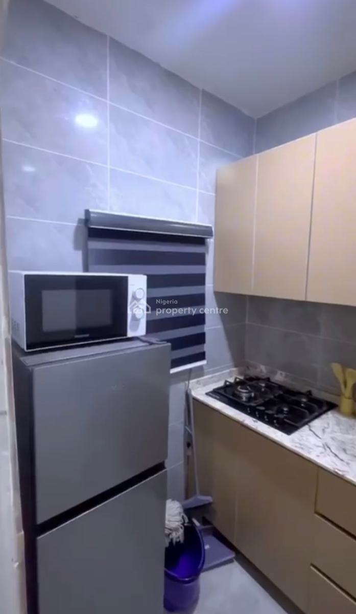 a Standard Fully Furnished and Serviced 1bedroom Apartment/flat, Asokoro District, Abuja, Mini Flat (room and Parlour) for Rent