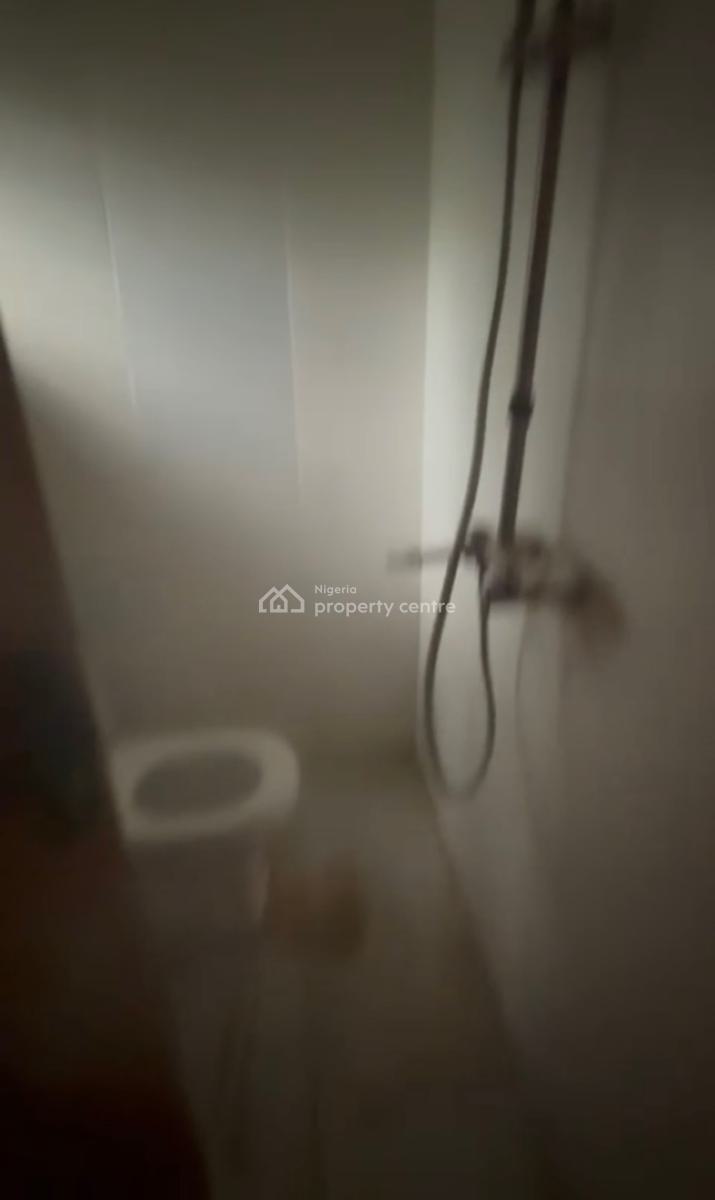 a Standard Fully Furnished and Serviced One Bedroom Apartment, Asokoro District, Abuja, Mini Flat (room and Parlour) for Rent