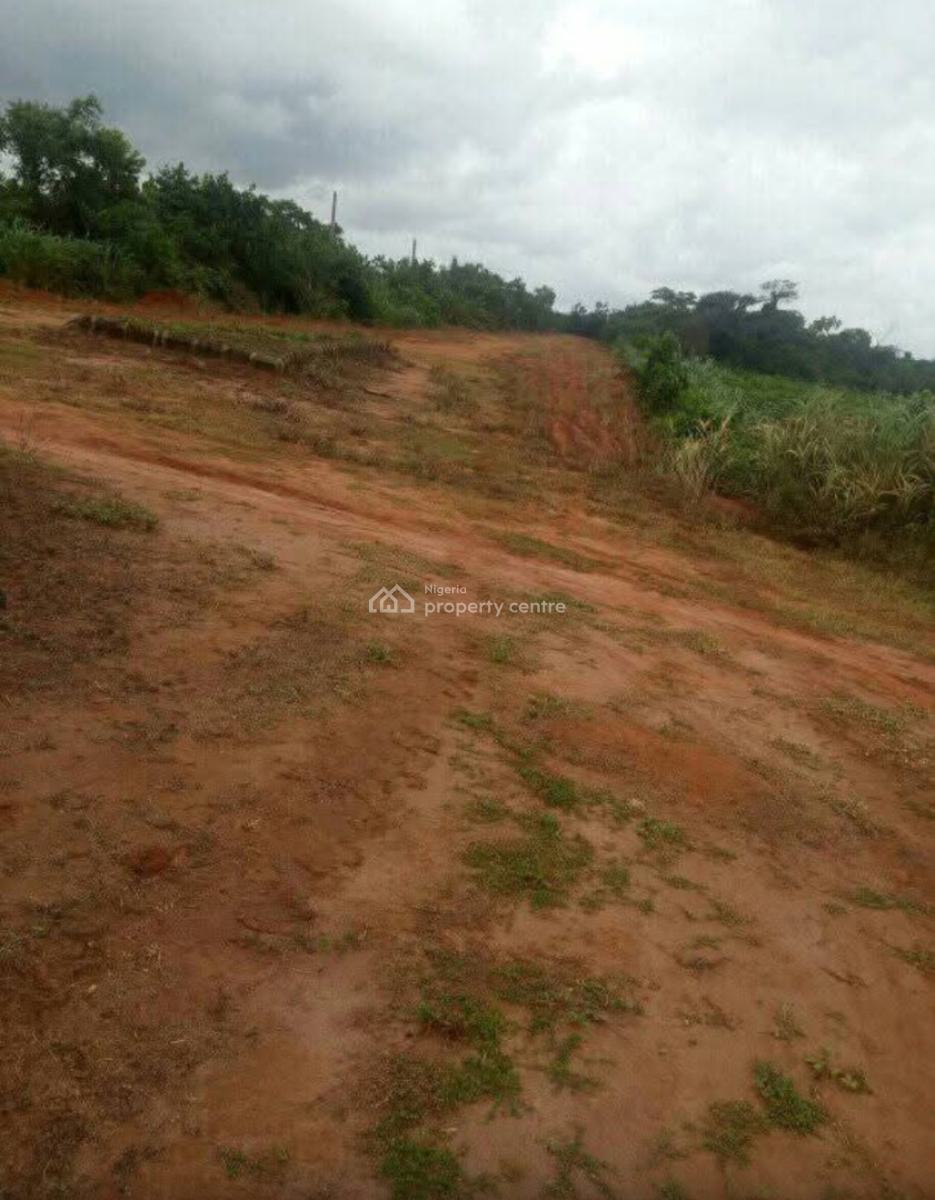 Super Dry Estate Land, Royal Palms Estate, Agbara-igbesa, Lagos, Residential Land for Sale