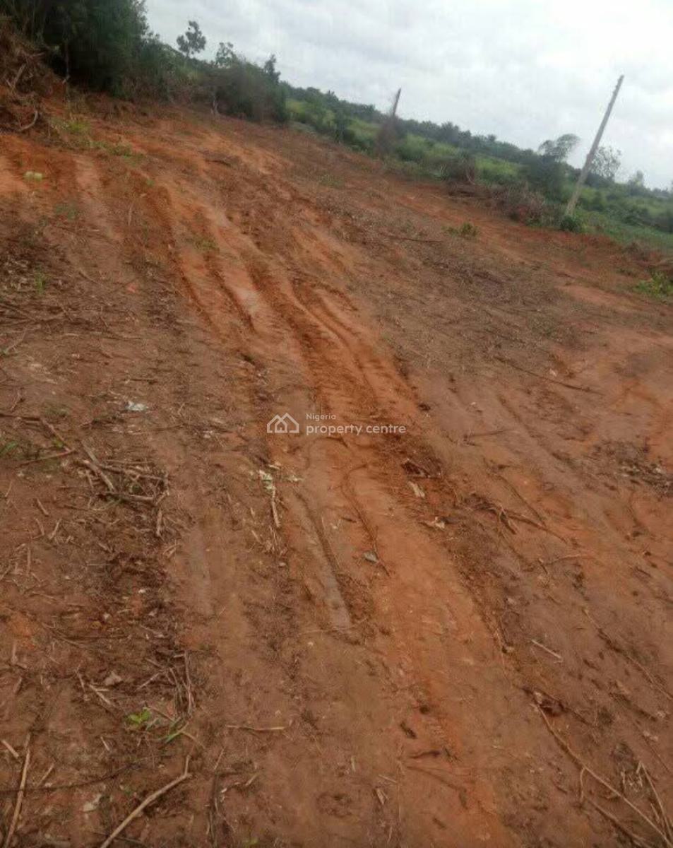 Super Dry Estate Land, Royal Palms Estate, Agbara-igbesa, Lagos, Residential Land for Sale