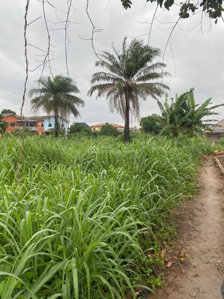 120 By 60 Plot of Land, Ado-odo/ota, Ogun, Land for Sale
