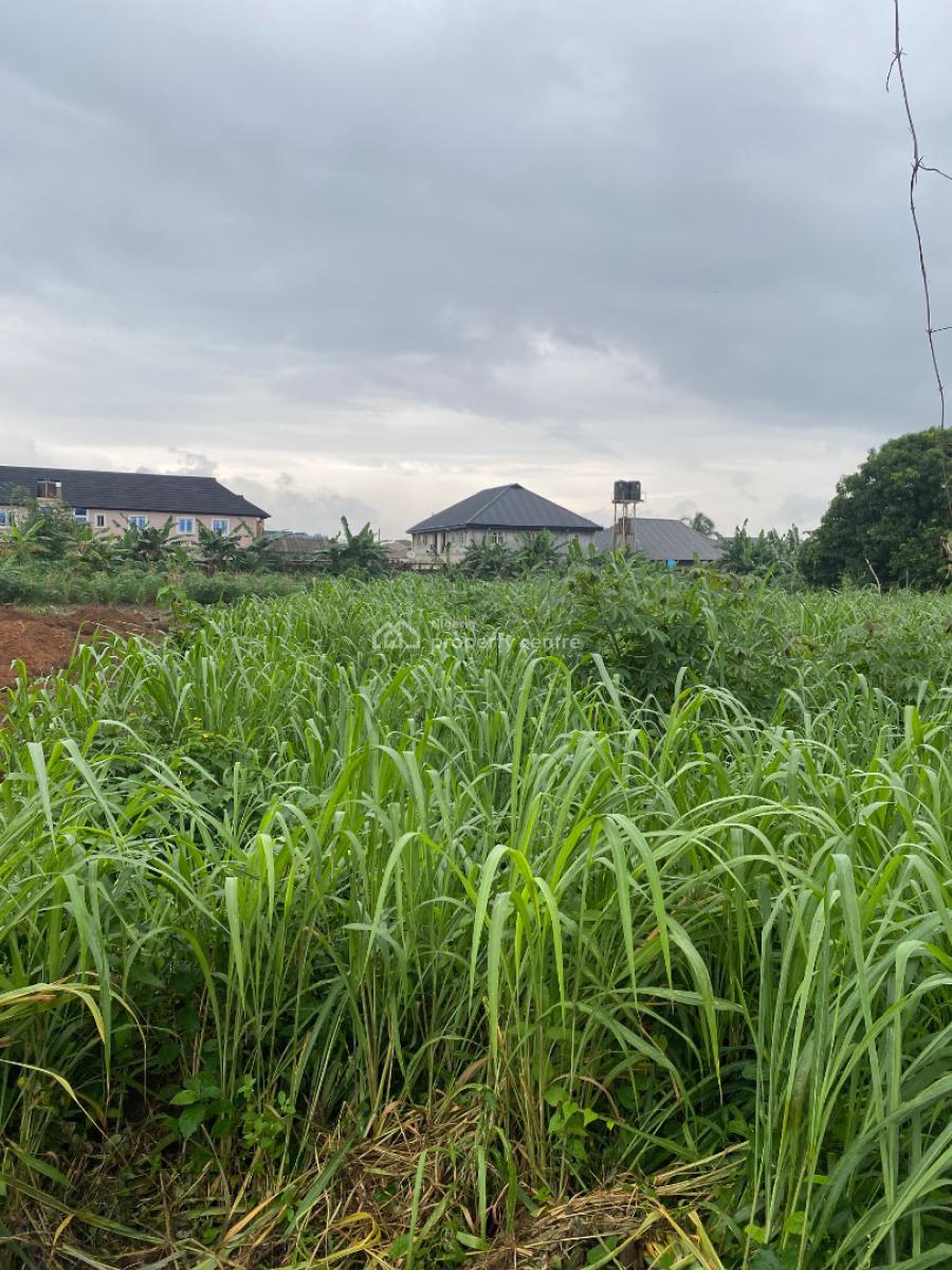 120 By 60 Plot of Land, Ado-odo/ota, Ogun, Land for Sale