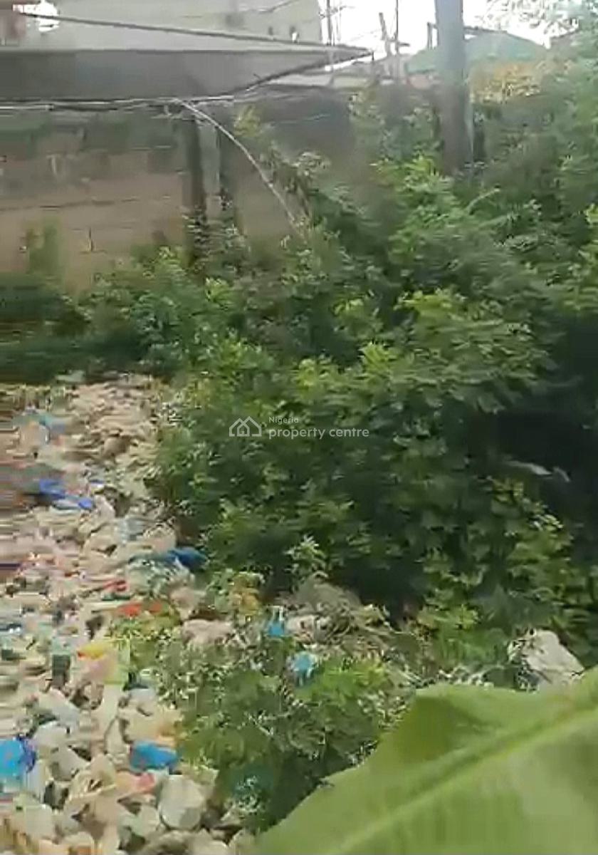 a Dry Empty Full Plot of Land, Yaba, Lagos, Mixed-use Land for Sale