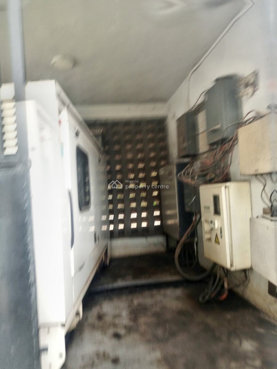 20 Rooms Mansion with Beautiful Aesthetics Green Area with Swimming P., Opebi, Ikeja, Lagos, House for Sale