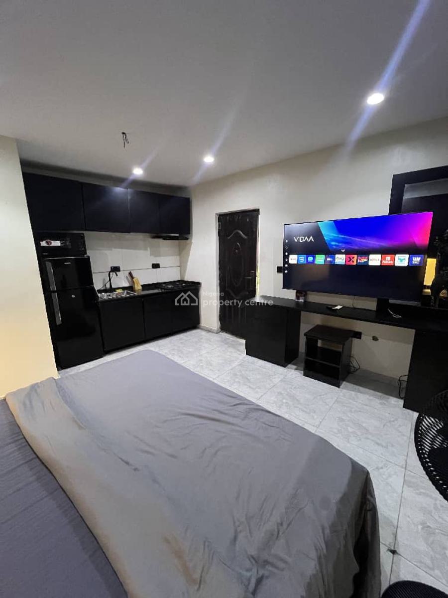 Large and Spacious Furnished Studio Condo, Victoria Island (vi), Lagos, Flat / Apartment for Rent