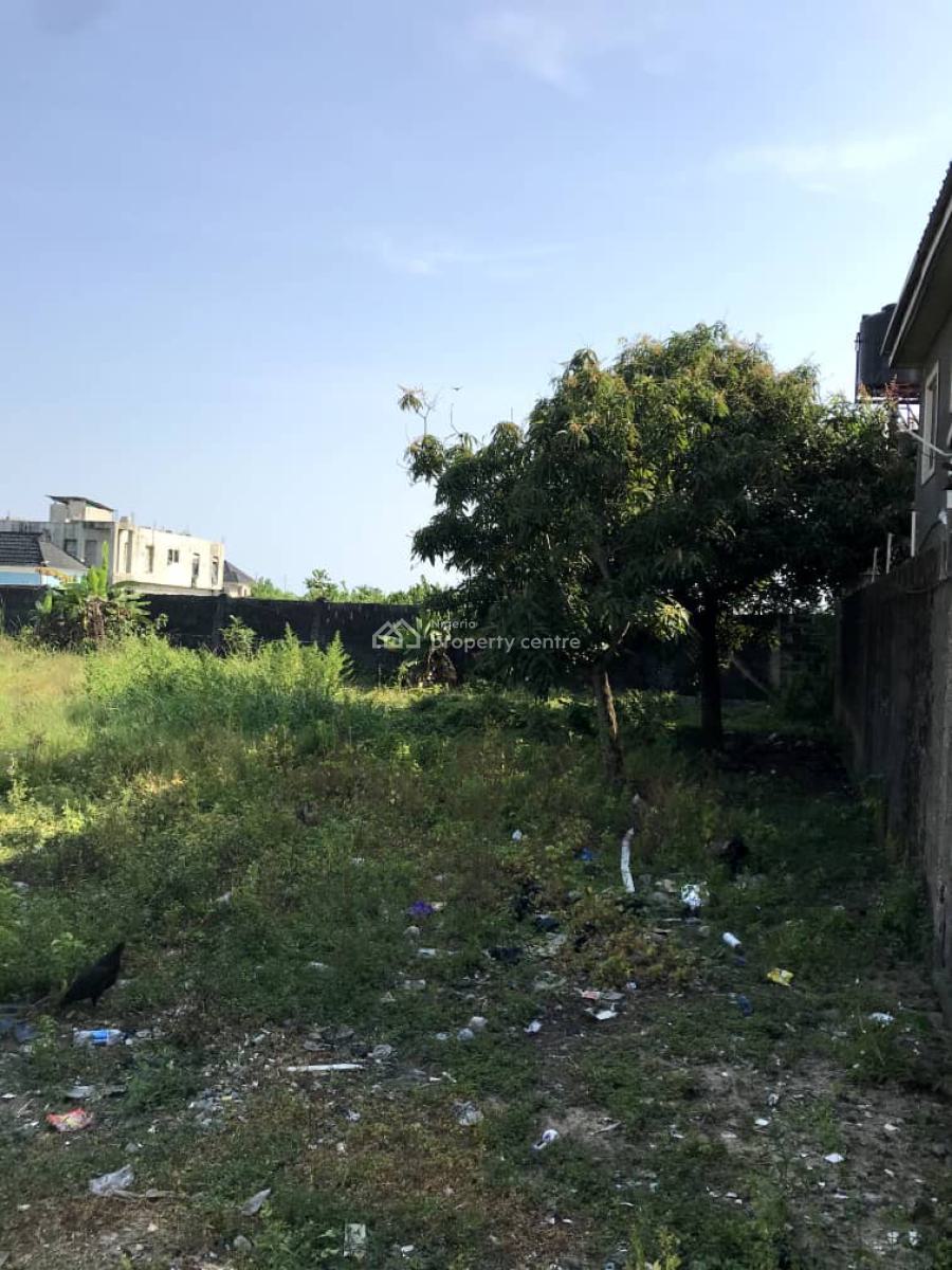 Distress 2 and a Half Plots at a Prime Location Close to Expressway, Readington American Schools, Ajah Lekki, Olokonla, Ajah, Lagos, Mixed-use Land for Sale