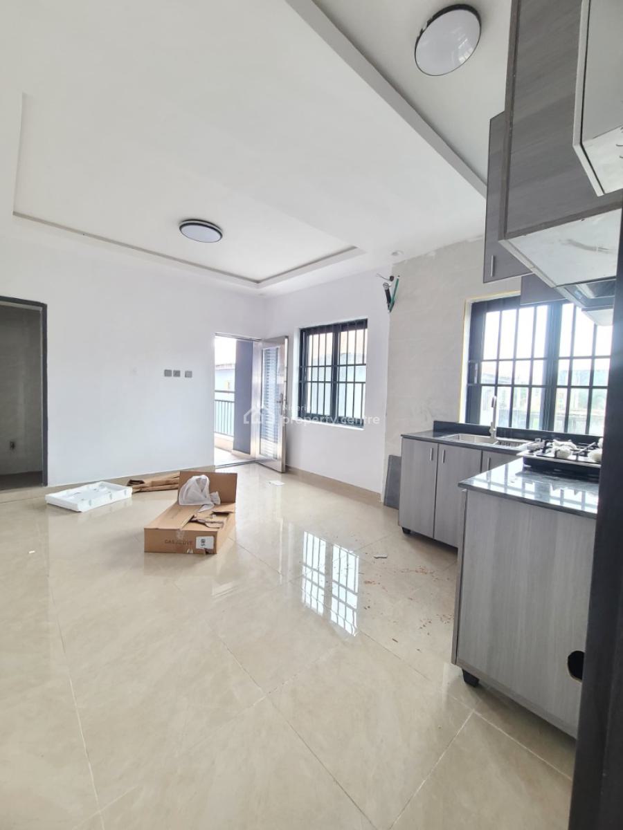 Beautiful and Super Luxurious Mini Flat, Greenville Estates, Badore, Ajah, Lagos, Mini Flat (room and Parlour) for Rent