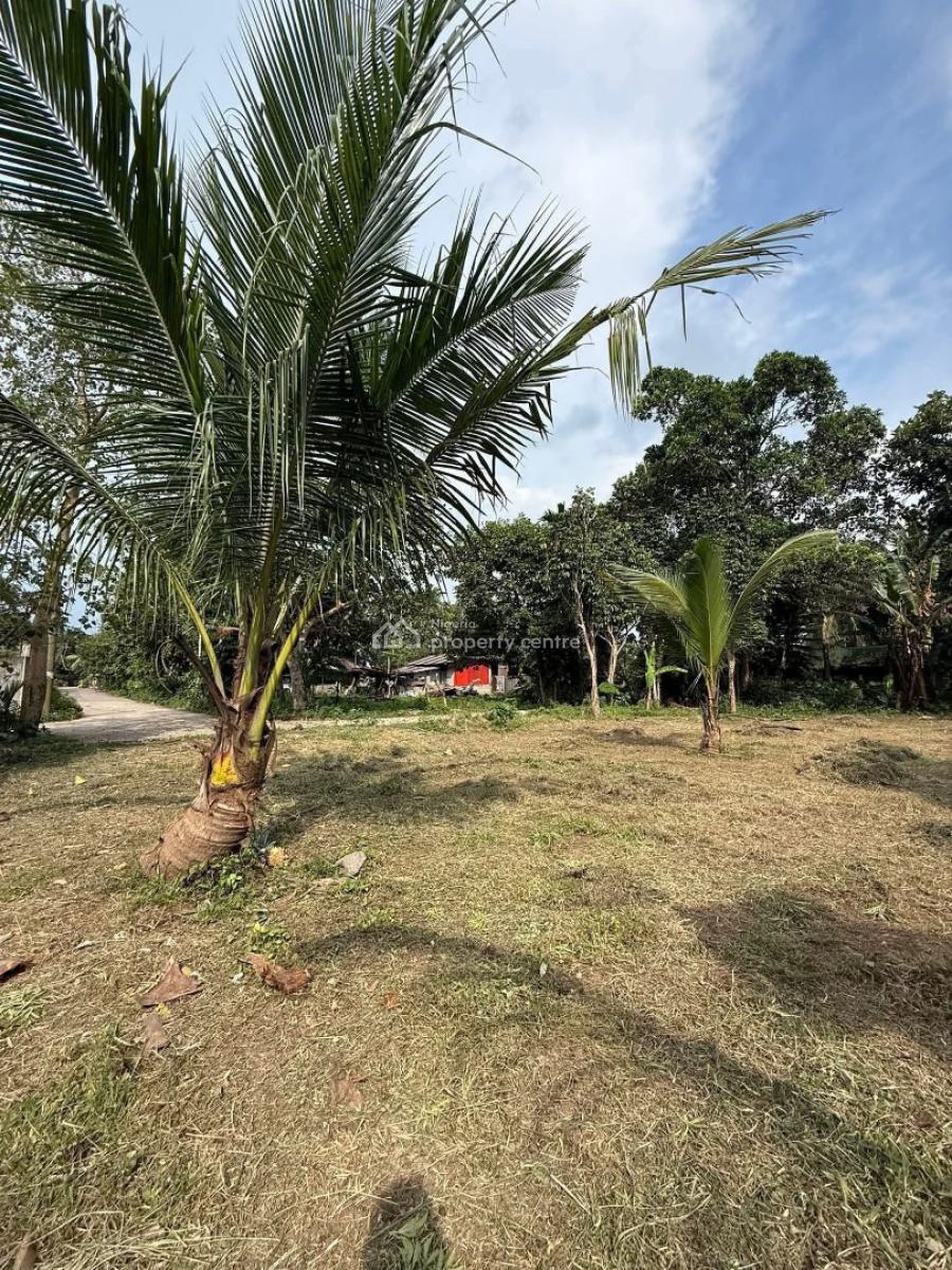 Oil Palm Farm, Obada Oko, Abeokuta South, Ogun, Land for Sale