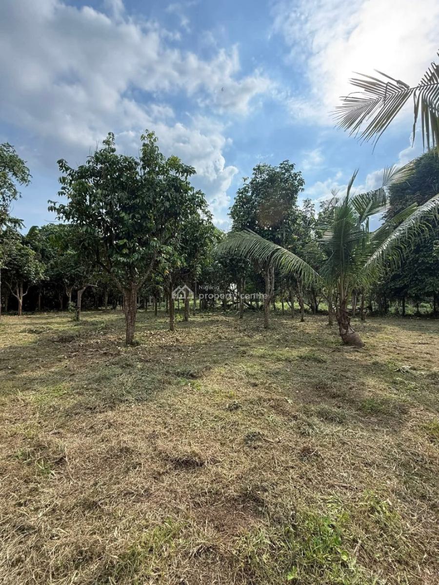 Oil Palm Farm, Obada Oko, Abeokuta South, Ogun, Land for Sale