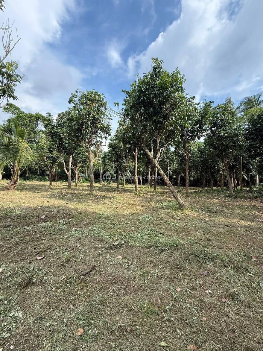 Oil Palm Farm, Obada Oko, Abeokuta South, Ogun, Land for Sale