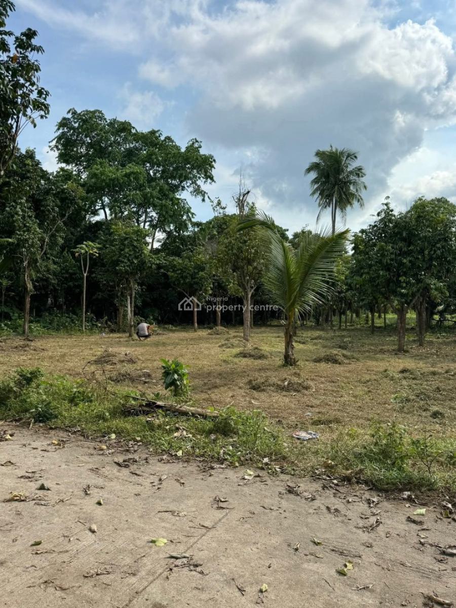 Oil Palm Farm, Obada Oko, Abeokuta South, Ogun, Land for Sale