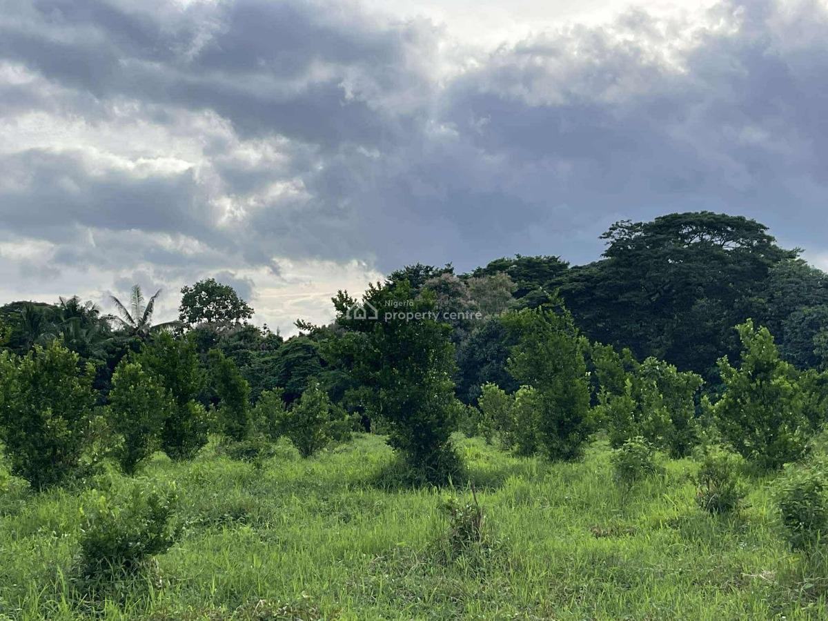 Farm Land, Abeokuta North, Ogun, Land for Sale