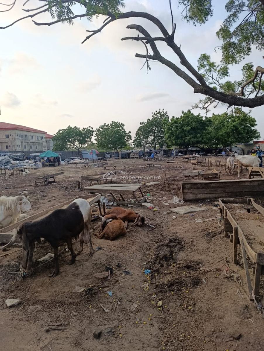Well Located 6 Plots,fenced, Directly Facing The Lekki Epe Express, Opposite Abraham Asesanya Estate., Ajah, Lagos, Mixed-use Land for Sale