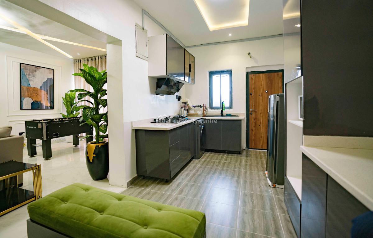 Fully Furnished & Serviced Luxury 2bedrooms Apartment, Freedom Way, Ikate, Lekki, Lagos, Flat / Apartment for Rent