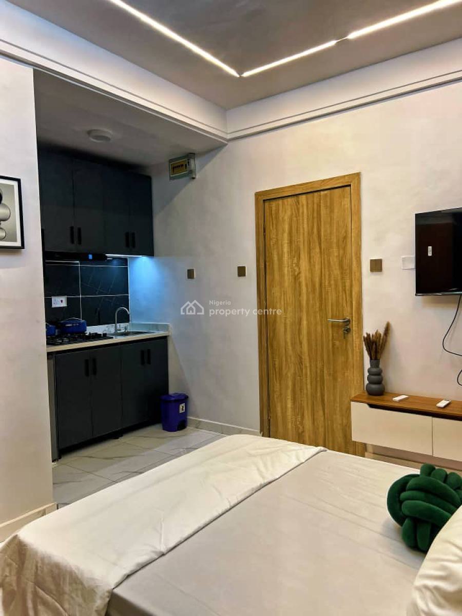 Tastefully Furnished Studio  Apartment, Itire-ikate, Surulere, Lagos, Flat / Apartment Short Let