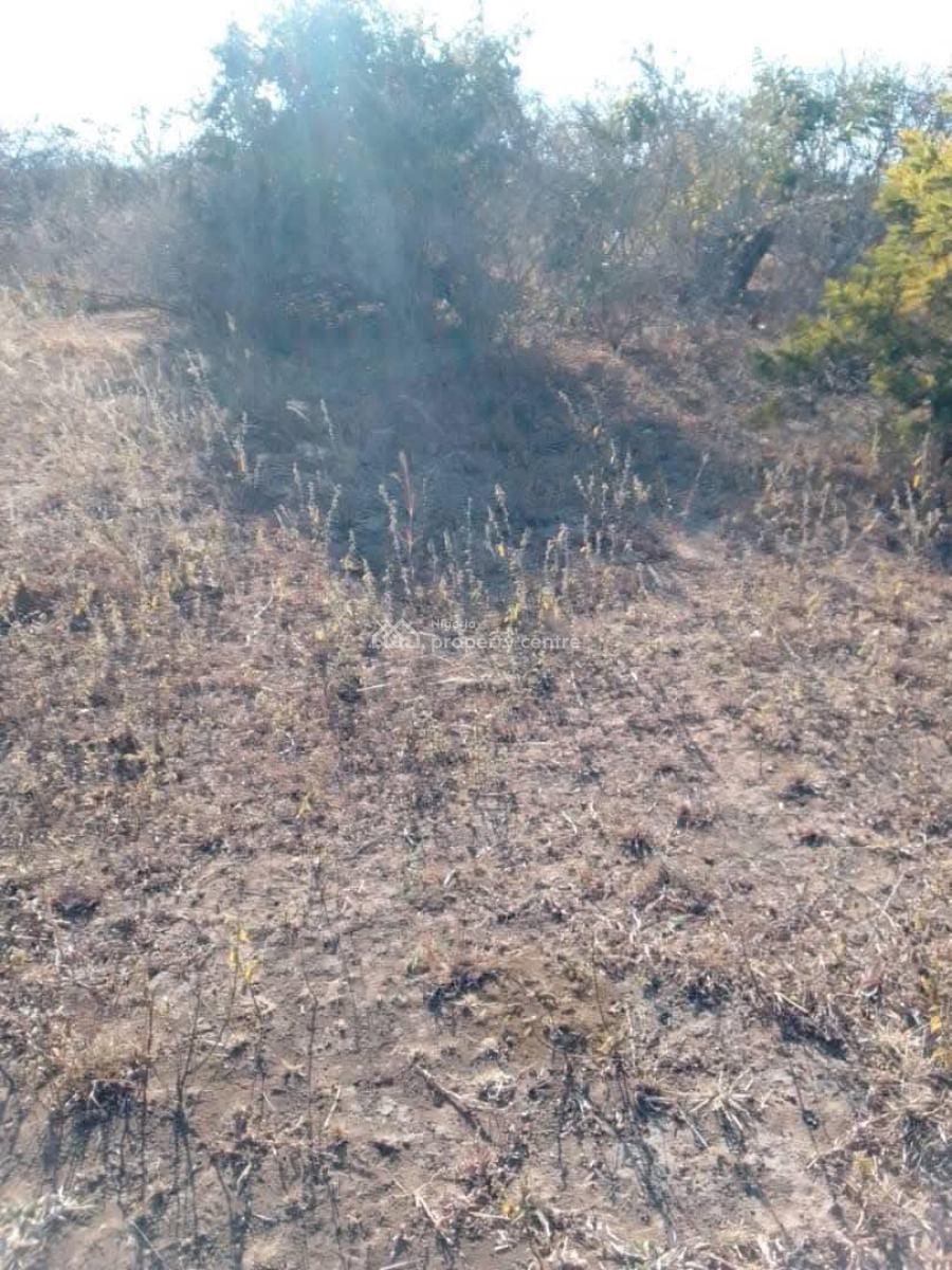 100% Dry Land with Verified Documents, Agbado, Ifo, Ogun, Residential Land for Sale