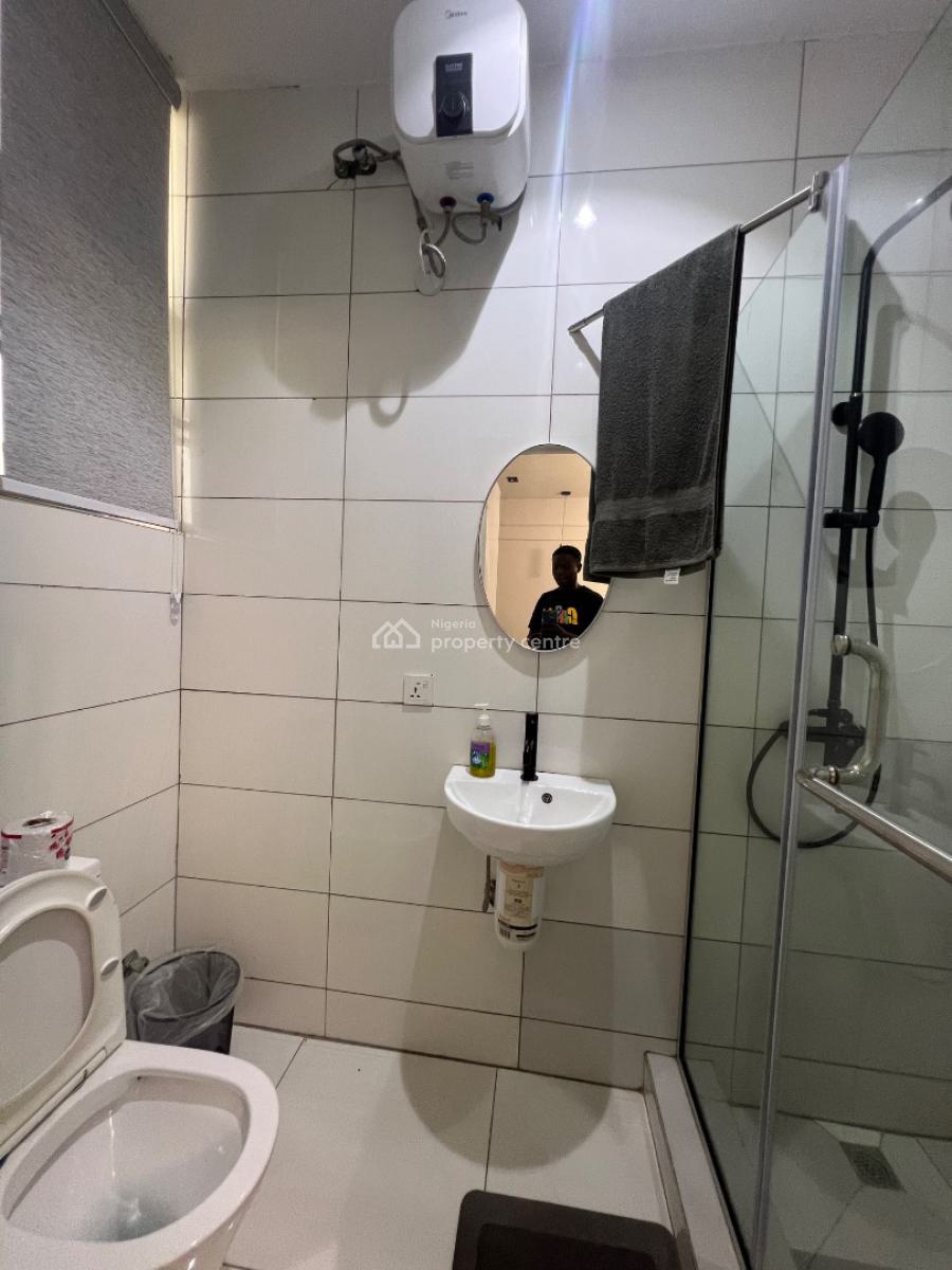 Furnished Two Bedroom Apartment Serviced, Ikate Lekki, Lekki Phase 1, Lekki, Lagos, Flat / Apartment for Sale