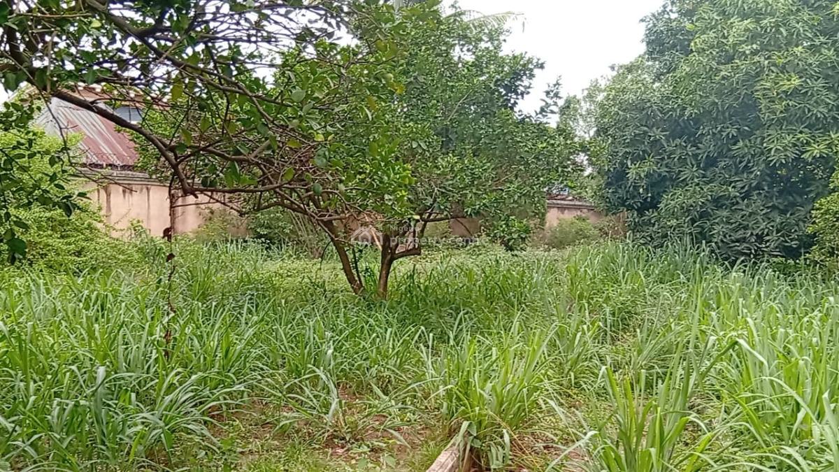 55 Rooms Hotel on 13 Plots of Land, Emma Nnaemeka Unizik Junction, Awka, Anambra, Hotel / Guest House for Sale