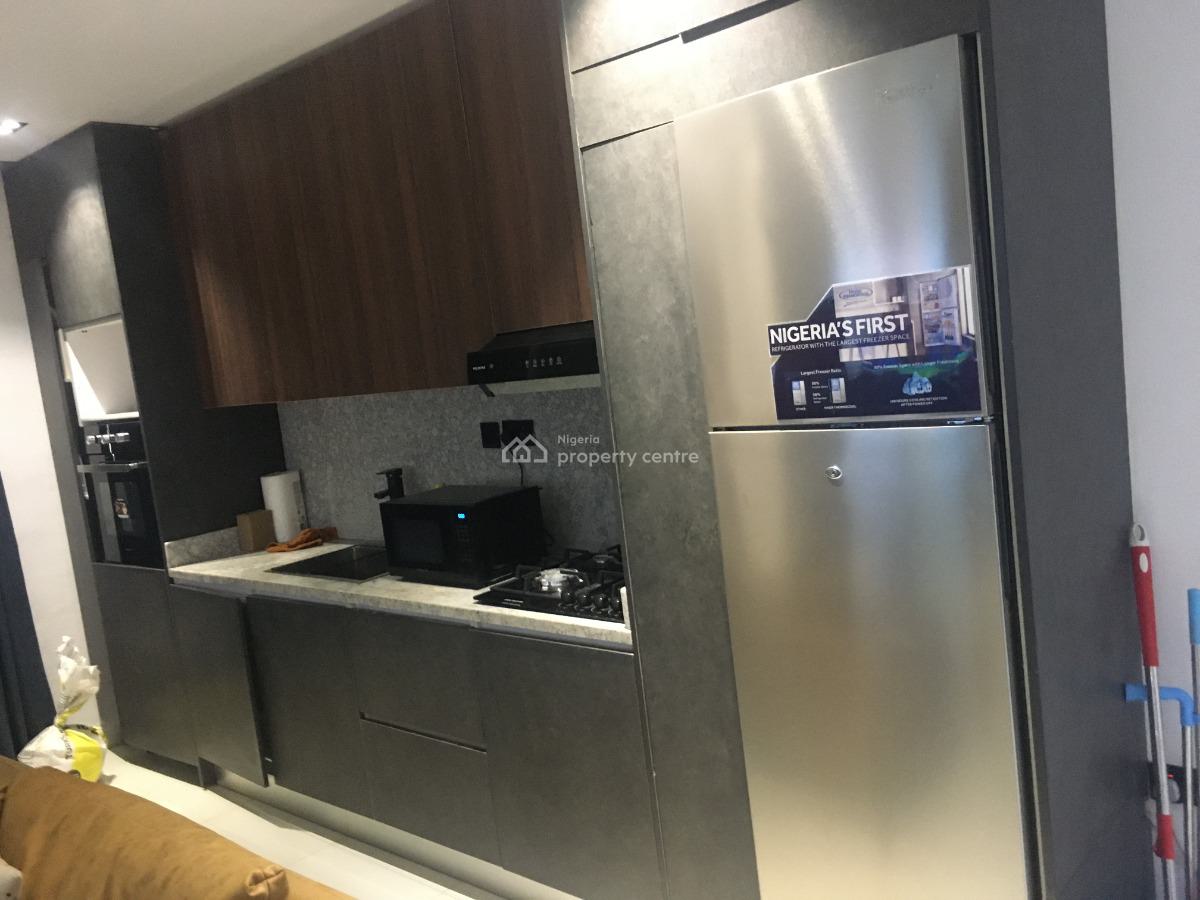 Fully Furnished and Serviced 2 Bedrooms Flat with Pool and Gym,snooker, Off Freedom Way Lekki Ohase 1, Lekki Phase 1, Lekki, Lagos, Flat / Apartment Short Let