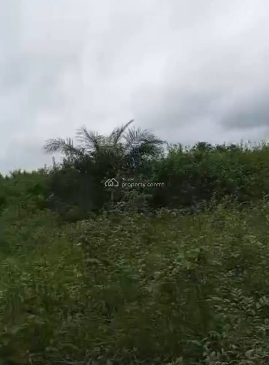 Fourteen (14) Plots of Land, Opposite Government Secondary School Omagwa, Omagwa, Port Harcourt, Rivers, Mixed-use Land for Sale