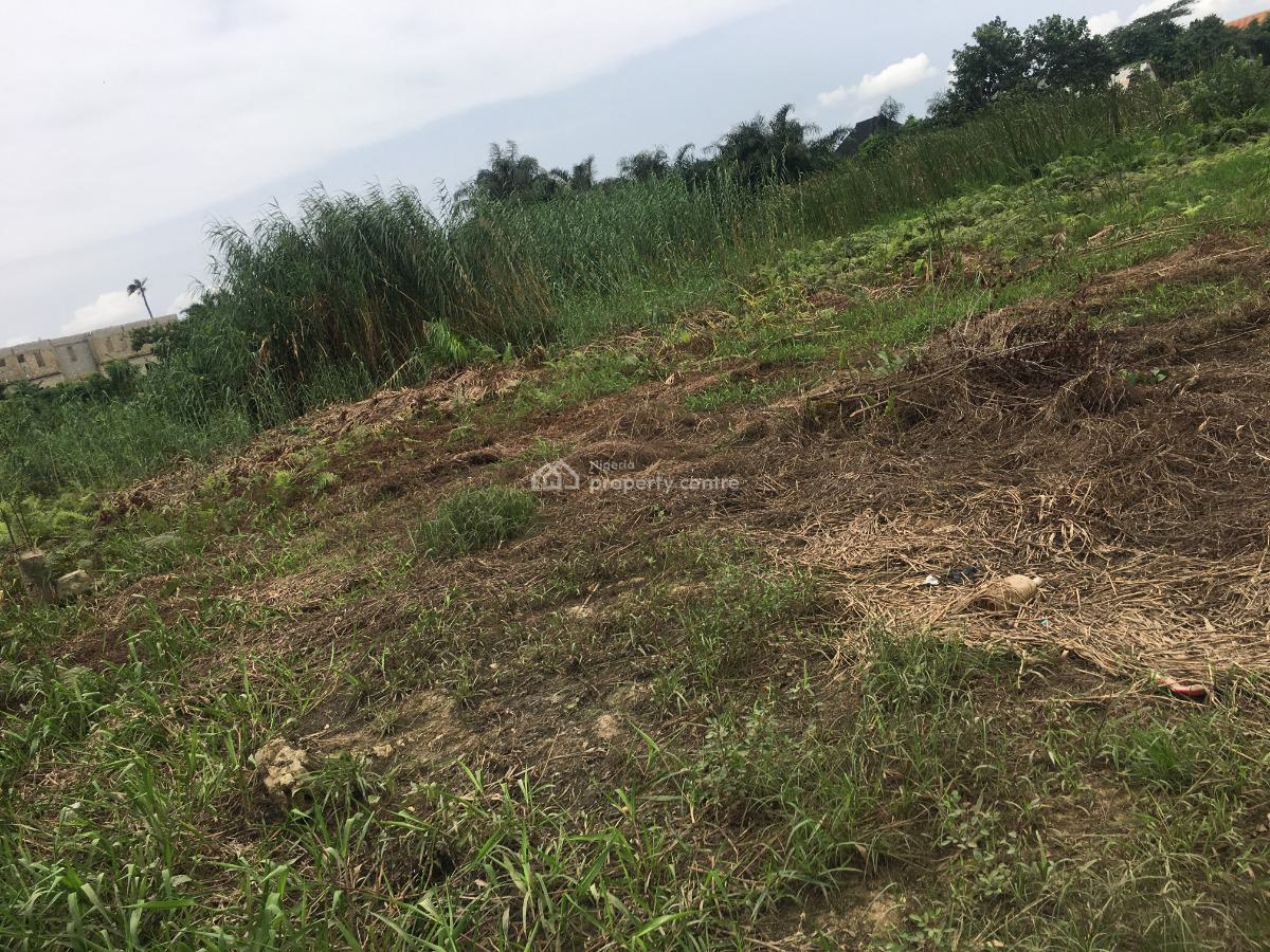 40 By 120 Bare Soft Land, Green Leaf Estate, Ebute, Ikorodu, Lagos, Mixed-use Land for Sale