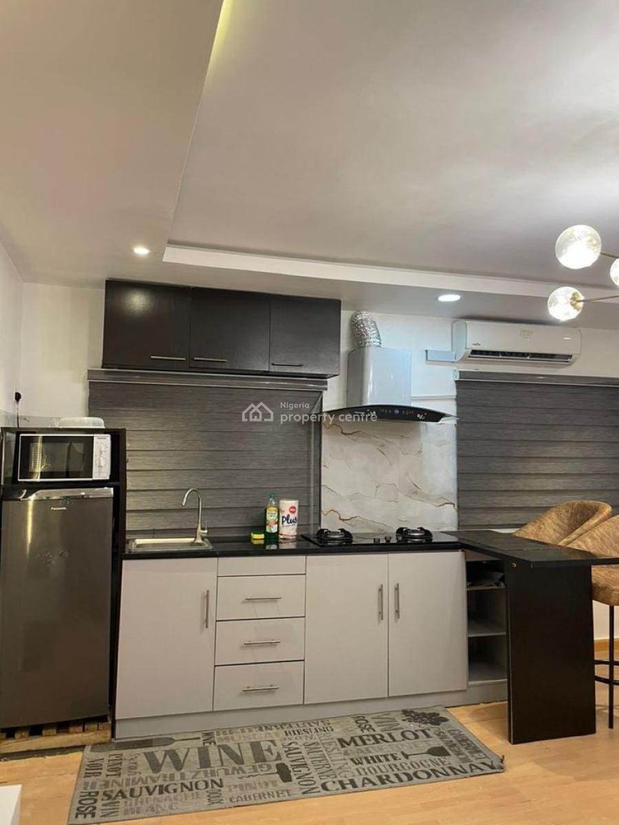 Spacious Furnished Room & Parlour with Open Kitchen Plan, Off Adewunmi Adebimpe, Lekki Phase 1, Lekki, Lagos, Mini Flat (room and Parlour) for Rent