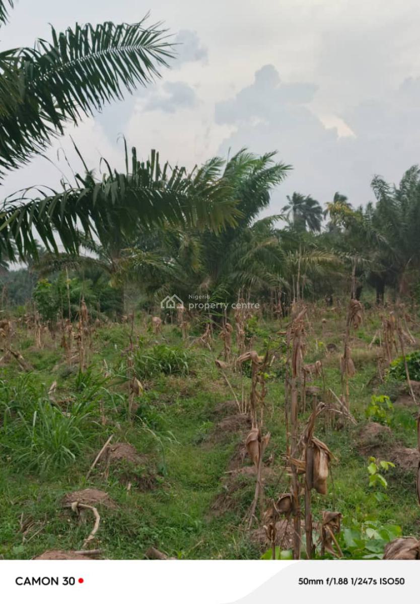 1000acres of Farmland at Wakajaye Gbaongan, Wakajaye Village Gbongan, Osogbo, Osun, Commercial Land for Sale