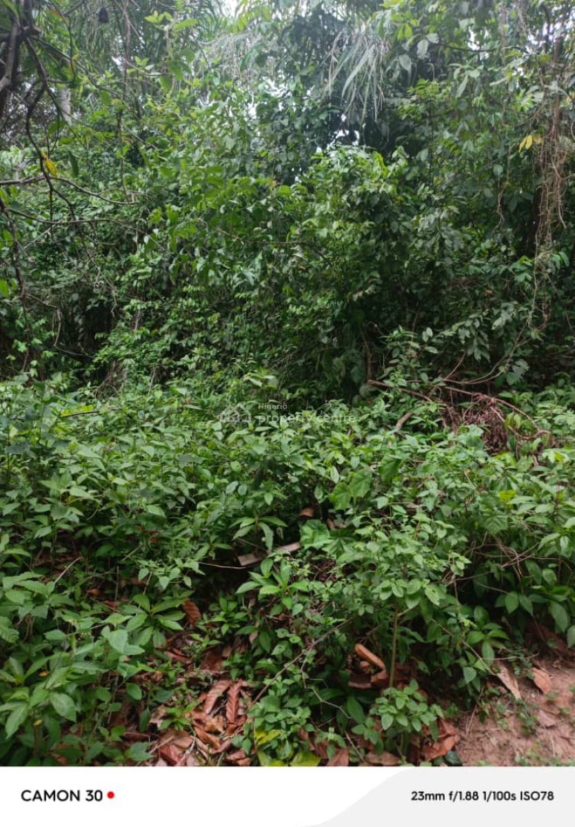 1000acres of Farmland at Wakajaye Gbaongan, Wakajaye Village Gbongan, Osogbo, Osun, Commercial Land for Sale