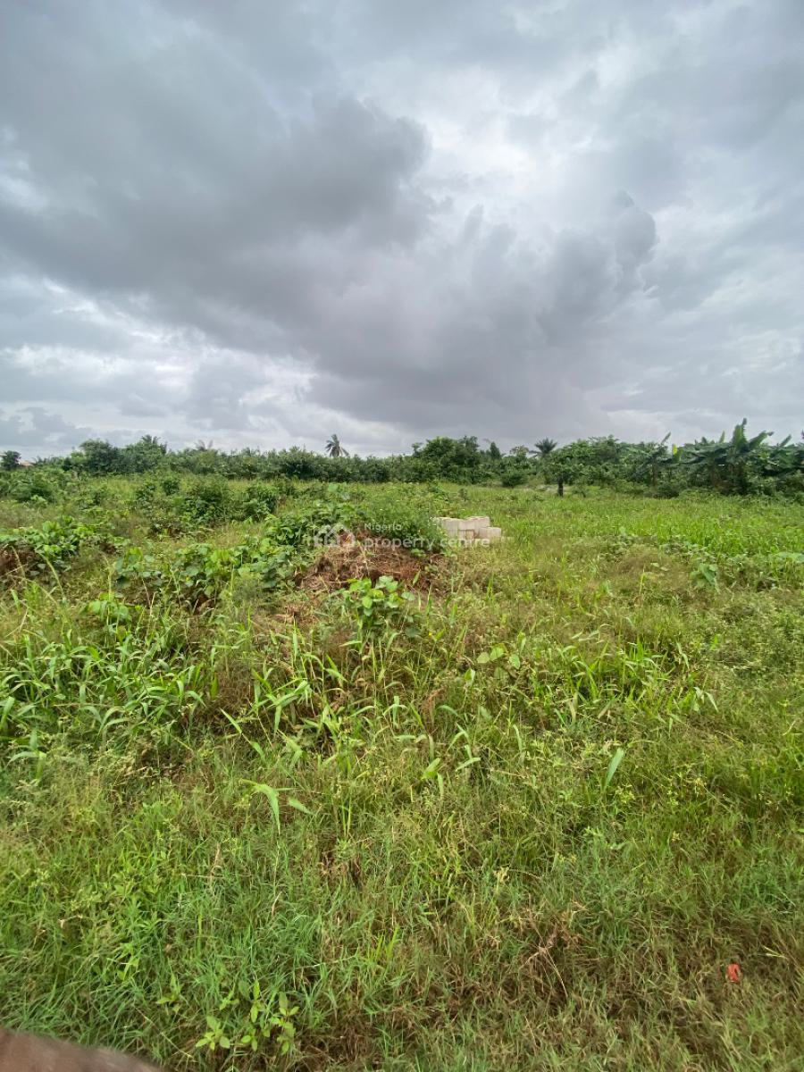 Genuine & Affordable Land Limited Plots Available, Igbogbo, Ikorodu, Lagos, Land for Sale