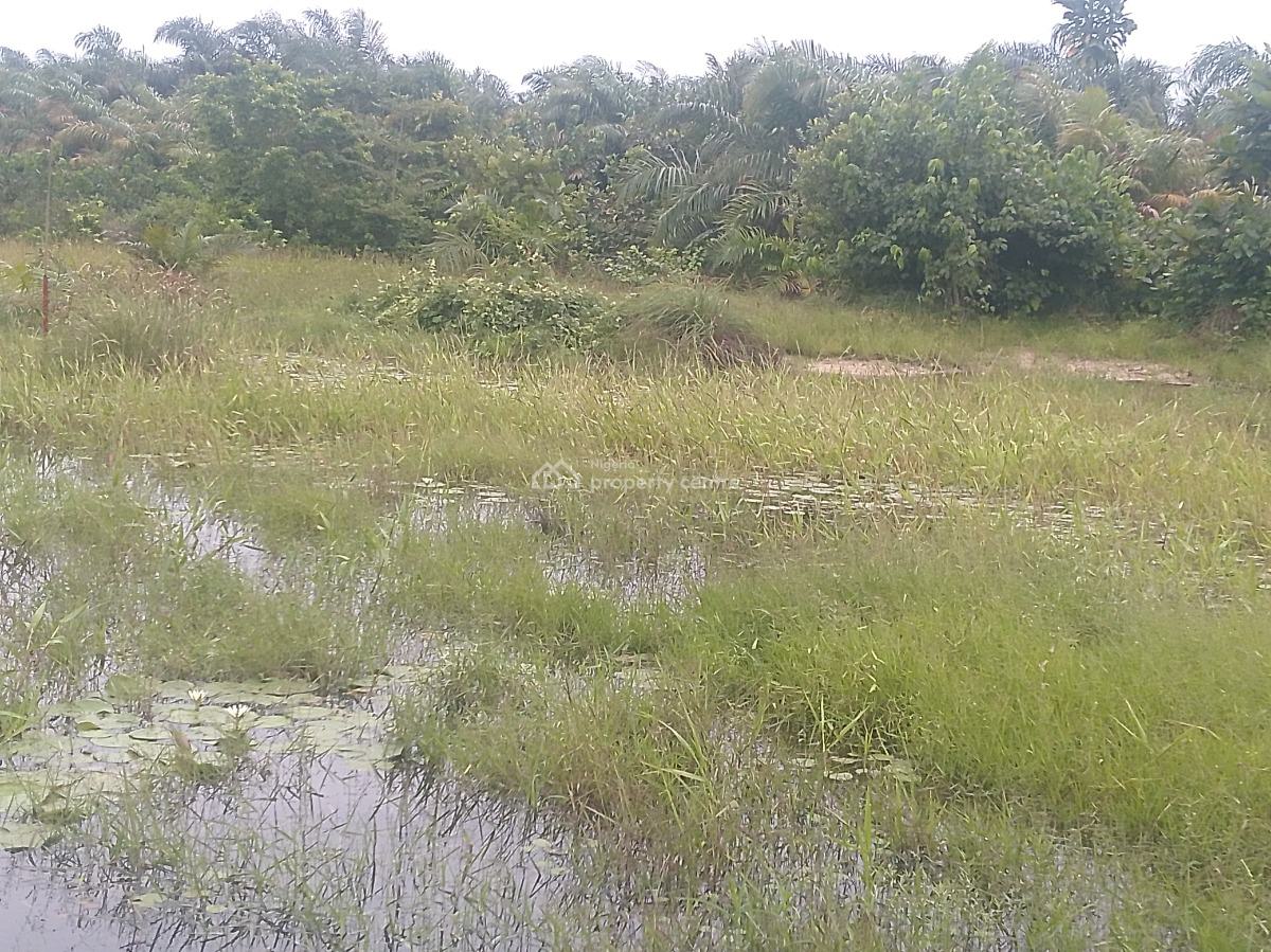 50 Plots of Land with Certificate of Occupancy, Iberekodo, Ibeju Lekki, Lagos, Mixed-use Land for Sale