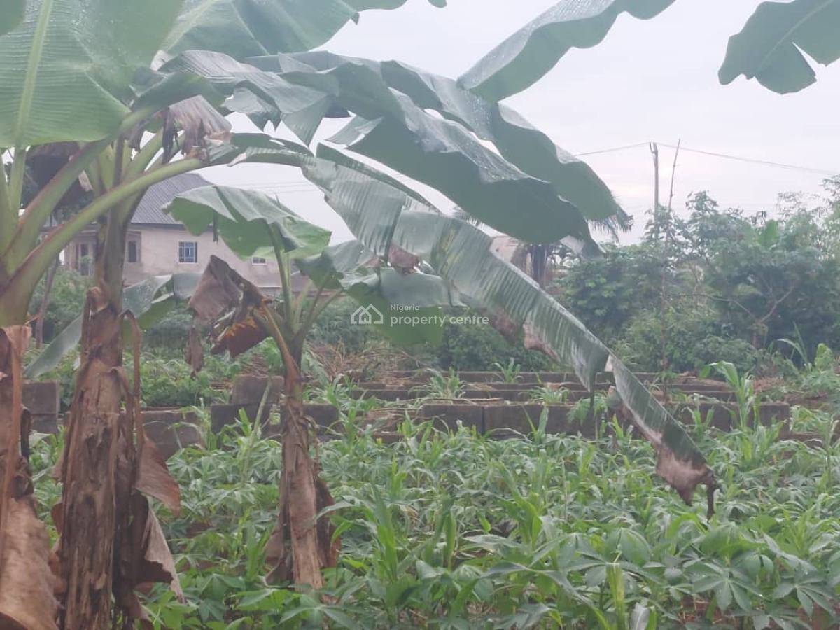 Full Plot of Land with Foundation Within a Fast Developing Community, Npa Port Authority Estate, Obeere, Sango Ota, Ogun, Residential Land for Sale