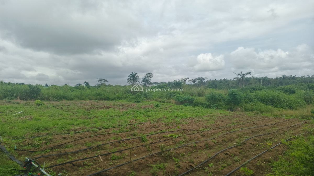 3  Hectares of Land Directly Facings Road, Igbodu Molajoye Community, Epe, Lagos, Mixed-use Land for Sale