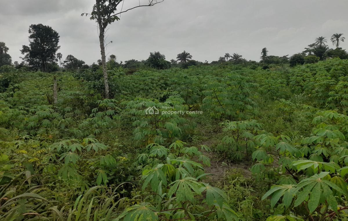 Plots and Acres of Farmlands, Obehie, Ukwa, Abia, Mixed-use Land for Sale