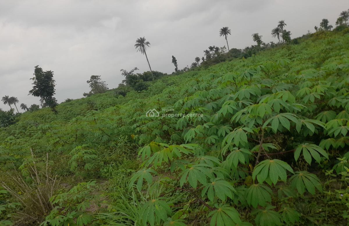 Plots and Acres of Farmlands, Obehie, Ukwa, Abia, Mixed-use Land for Sale