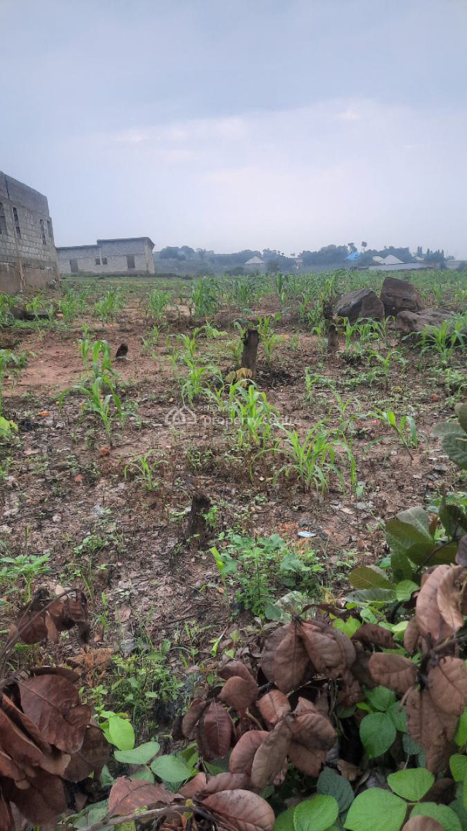 5 Bedroom Fully Detached Duplex, Kubwa Express Way  Behind Apdc Capital Estate, Kaba, Abuja, Residential Land for Sale