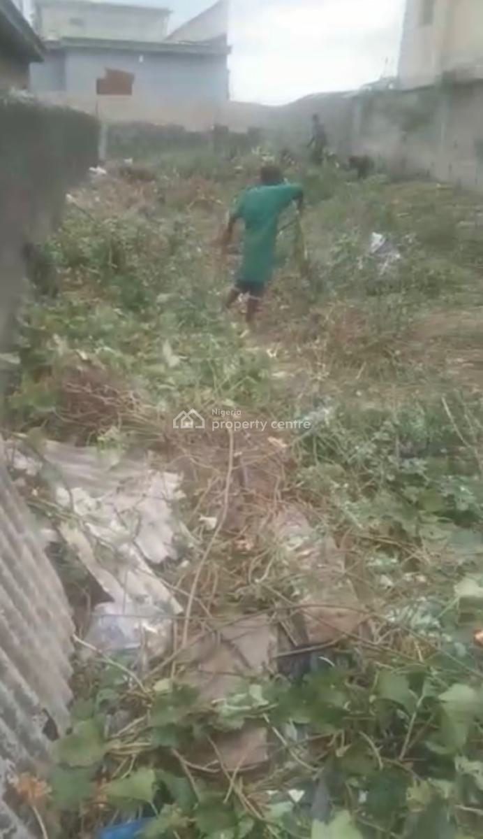 a Standard, Executive Half Plot of Land, Ilaje Road, Bariga, Shomolu, Lagos, Mixed-use Land for Sale