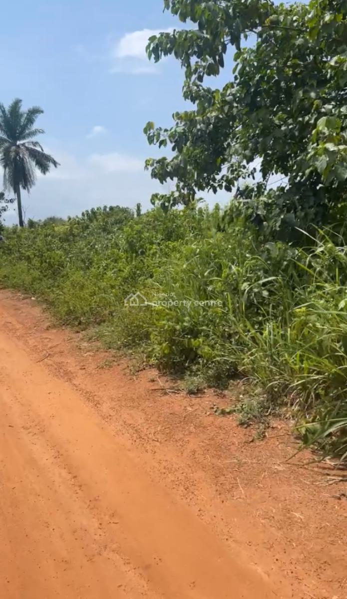 Strategic Commercial & Residential Land, Ifo Area of Ibogun / Opeyika, Ifo, Ogun, Mixed-use Land for Sale