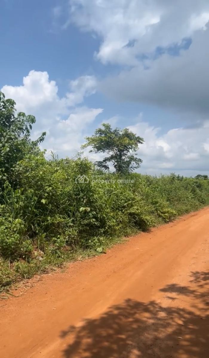 Premium Commercial Land in Ibogun -- Perfect for Cell Towers & Industr, Ifo, Ibogun, Opeyika Ogun State, Ifo, Ogun, Mixed-use Land for Sale