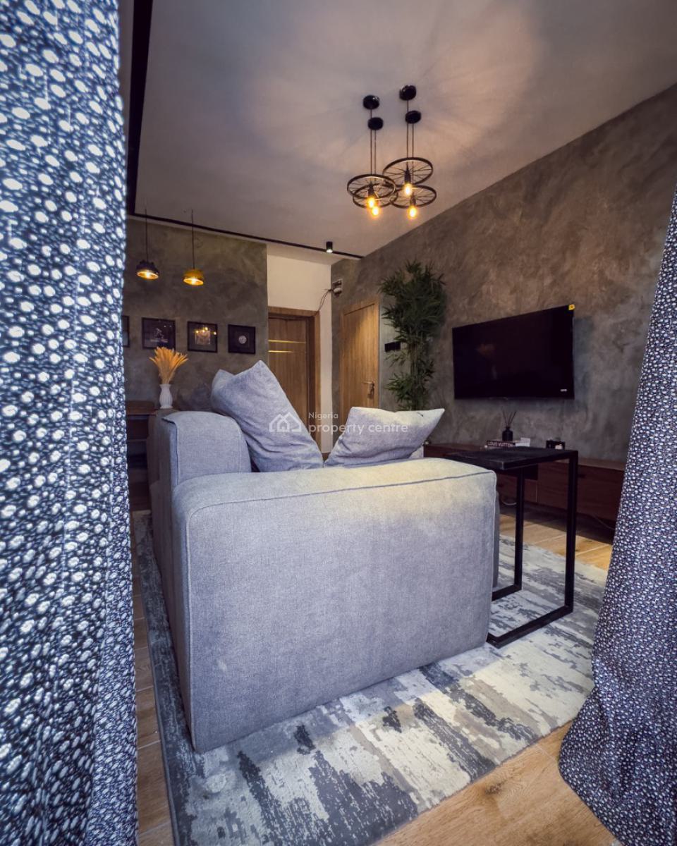 1 Bedroom Premium Apartment, Idi-araba, Lawanson, Surulere, Lagos, Flat / Apartment Short Let