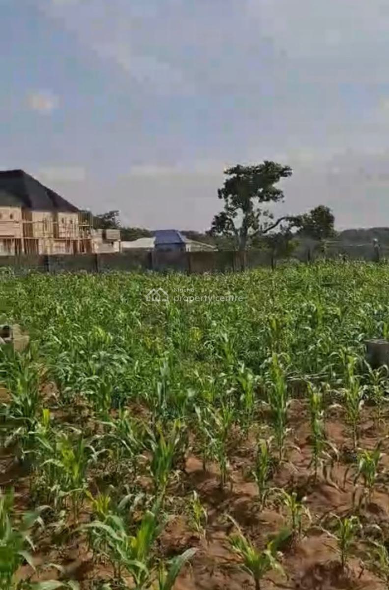 1,547.50sqm, Residential, C of O, Dakibiyu, Abuja, Residential Land for Sale