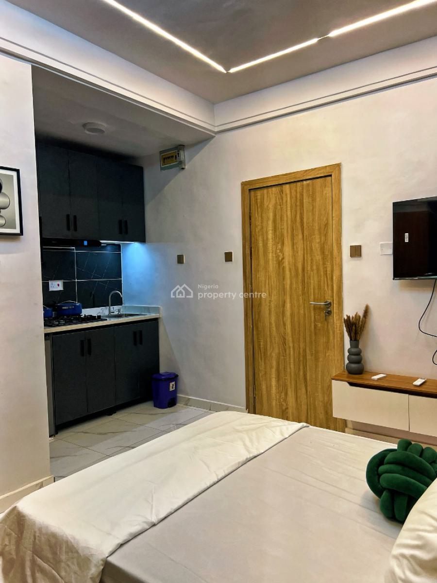 1 Bedroom Premium Apartment, Idi-araba, Lawanson, Surulere, Lagos, Flat / Apartment Short Let