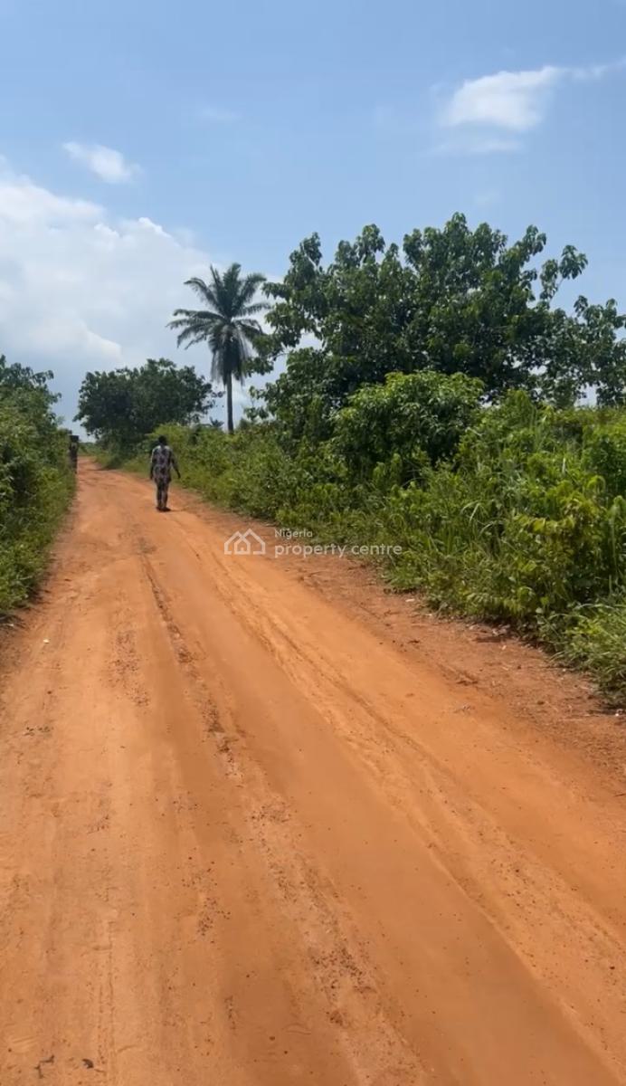 Investors Choice: Versatile Land for Telecom & Business Development, Ibogun Opeyika, Ewekoro, Ogun State, Ewekoro, Ogun, Mixed-use Land for Sale