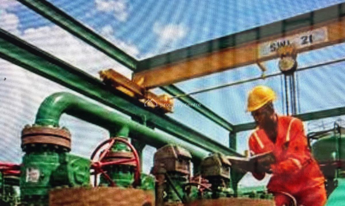 Profitable on-going Concern Oil & Gas Production Facility on Offer, Port Harcourt, Rivers, Factory for Sale