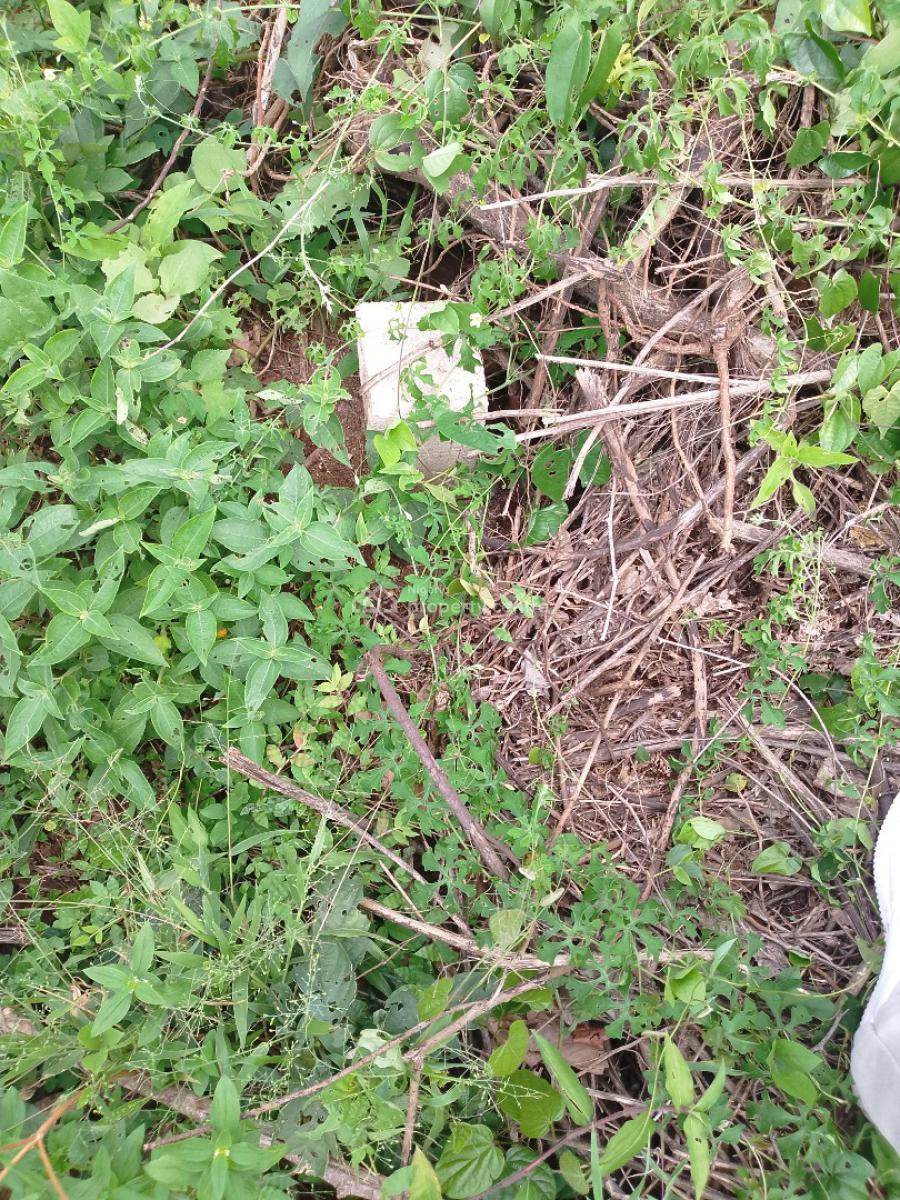 Genuine Cheap Land Facing The Expressway, Facing Enugu - Onitsha Expressway, Trans Ekulu, Enugu, Enugu, Land for Sale