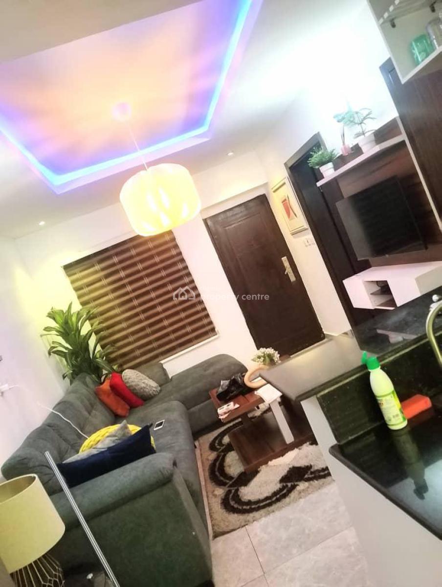 Exquisite One Room and Parlor in a Secured Estate, New Horizon 2 Estate, Ikate Lekki, Ikate, Lekki, Lagos, Mini Flat (room and Parlour) for Rent